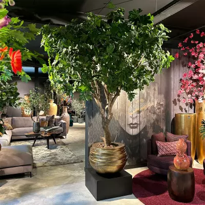 Fíkovník zelený H250 D200 – luxusní umělá rostlina