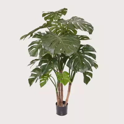 Monstera Deluxe zelená H140 D95