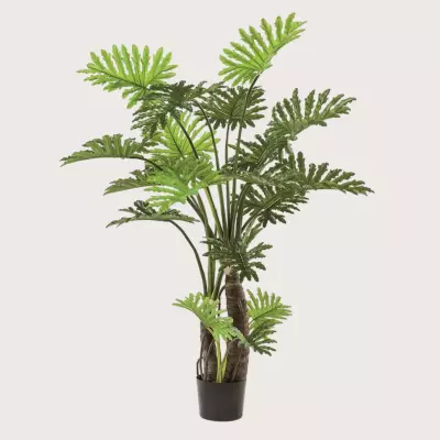 Philodendron na stonku zelený H180 D130