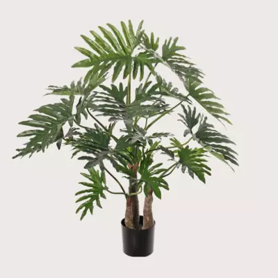 Philodendron Selloum Maxi zelený D130 H120