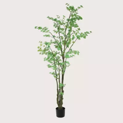 Tropaeolum zelený H245  D90– exkluzivní umělá rostlina