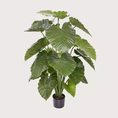 Umělá rostlina Alocasia Calidora Green  H115 D90