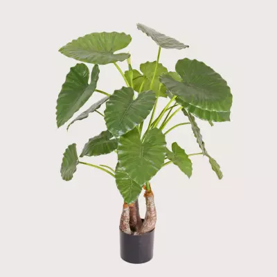 Umělá rostlina Alocasia Calidora Green  H120 D110