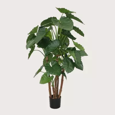 Umělá rostlina Alocasia Calidora Green  H165 D90