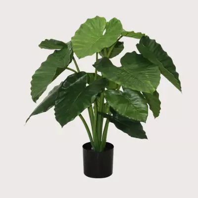 Umělá rostlina Alocasia Calidora Green H80  D75