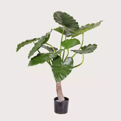 Umělá rostlina Alocasia Calidora Green  H80 D80
