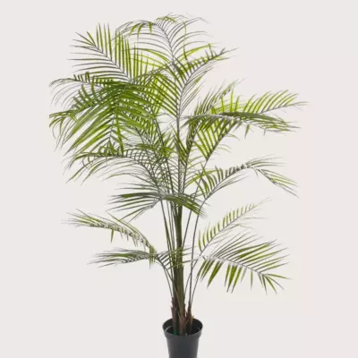 Umělá rostlina Areca palm UV Green H195 D140