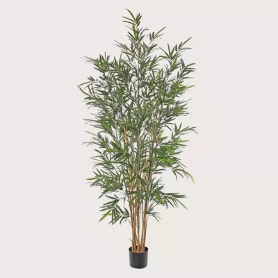 Umělá rostlina Japonský Bambus UV Green  H195 D80