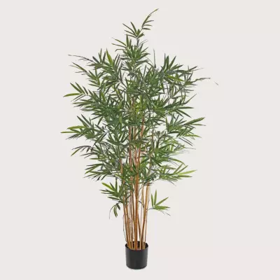 Umělá rostlina Japonský Bambus UV Green H230 D90