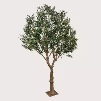 Umělý olivovník XL  H300 D 200