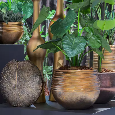 Váza Lotus Gold dl46 x h15 x v48 cm